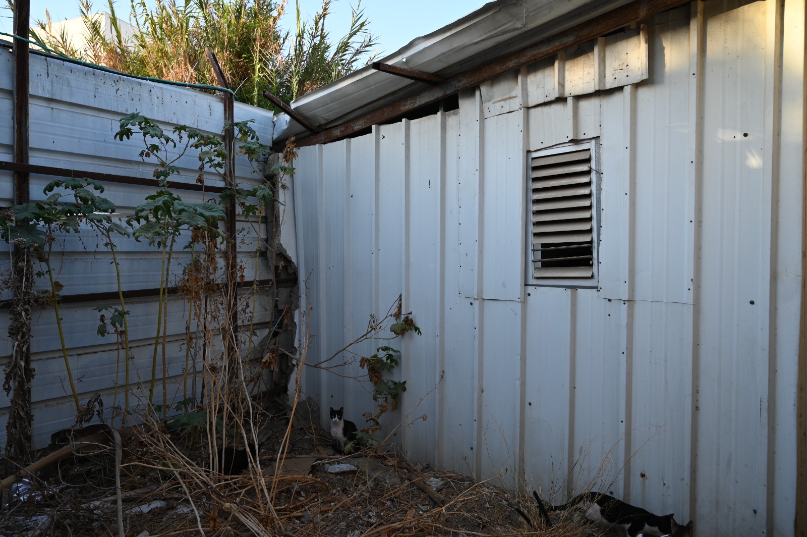 WhatsApp Image 2021-10-11 at 6.24.03 PM (3).jpeg